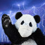 ThunderPanda