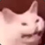Wez ALT