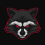 Raccon