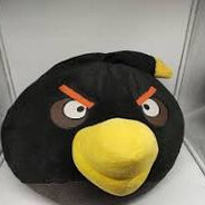 pokoii