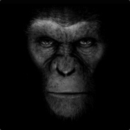 Аватар BlackMonkey