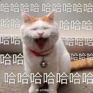 头铁不怕锤@0412