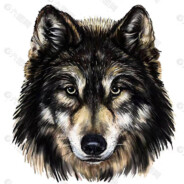 抽烟喝酒打女人