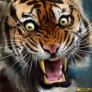 华南电迪谭咏麟