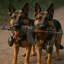 Hundehelten1