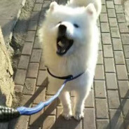 操场上最美的女孩