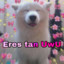 Perro UwU