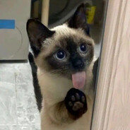 也没有好游戏玩啊