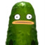 Pickle