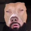 Bongas