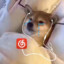 今天也依旧爱你哦