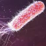 EduEduEduEduEduEdu
