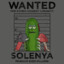 Solenya
