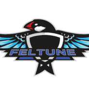 Feltune