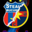 adrian ; lupta steaua