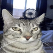 mik