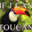If1CanToucan