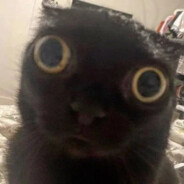 Grammi_ avatar