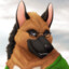 LurkerShep