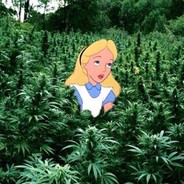 Sativa