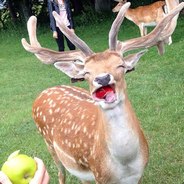 СережаКунгФу