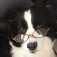 跟老婆吵架分头睡没忍住69了