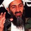 OSAMA BIN HOPPIN