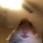 Tomek15Lord