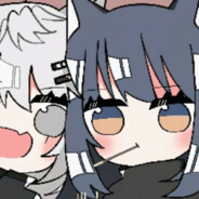 沼气沼气沼气猫