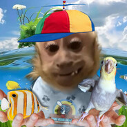 Pingle