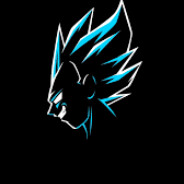 jokerw0w - steam id 76561199363919204
