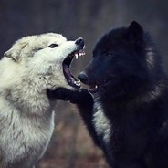 Daniel Monduzzi [FNR]