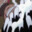 bignutz23 avatar