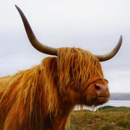 魔法芒果☆☆☆