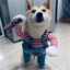sherrypi