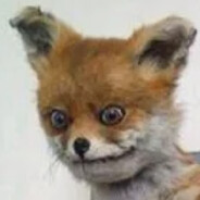 Lisu - steam id 76561198156779991