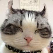 马惹伐客