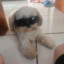 bernardoxyz_