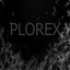 PloreX