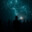 unknown