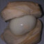 Permatrago