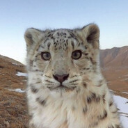 это просто хохма avatar