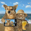 .truemeow<3