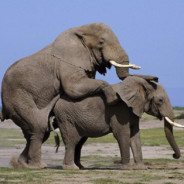 CHENG DU丨污枪™