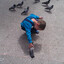 altay_efe1126