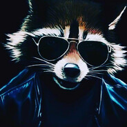 Rocket racoon