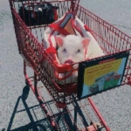 给我一支烟，忘记昨日