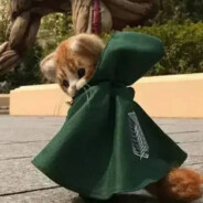 重生之我是原神大王