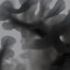 初音 三玖