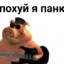 Мне похуй я панк